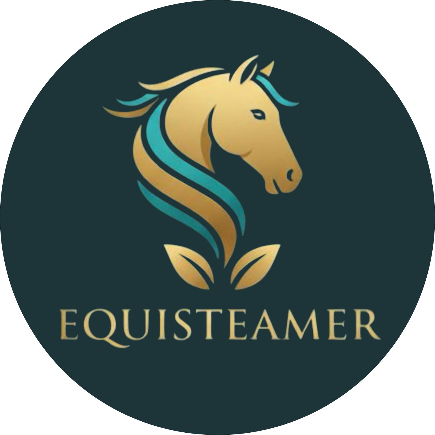Equisteamer